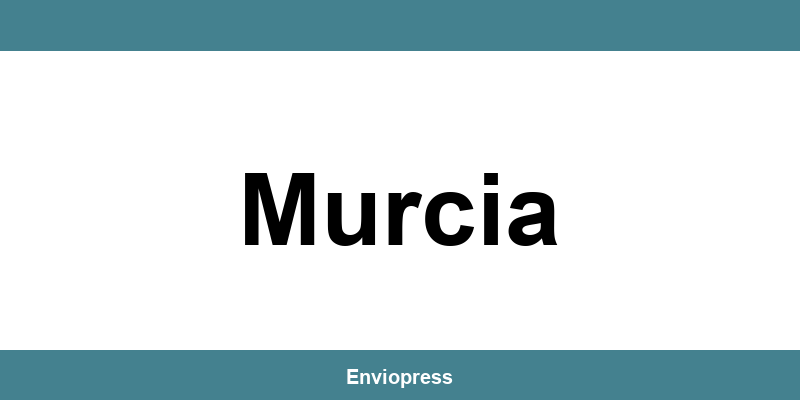 Teléfono de contacto Sending Murcia