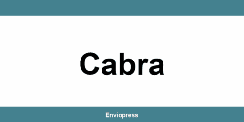 Teléfono de contacto Sending Cabra